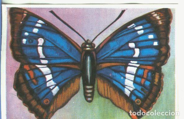 Colecionismo desportivo: Cromos: Historia Natural numero 171 - Varios