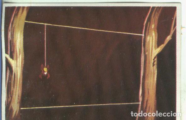 Sammelleidenschaft Sport: Cromos: Historia Natural numero 141 - Varios