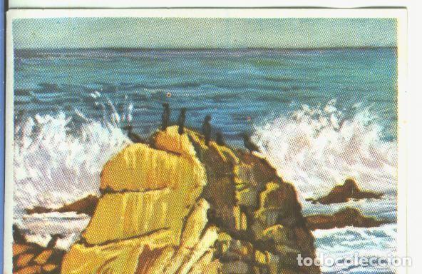 Coleccionismo deportivo: Cromos: Historia Natural numero 041 - Varios