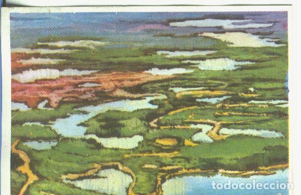 Coleccionismo deportivo: Cromos: Historia Natural numero 049 - Varios