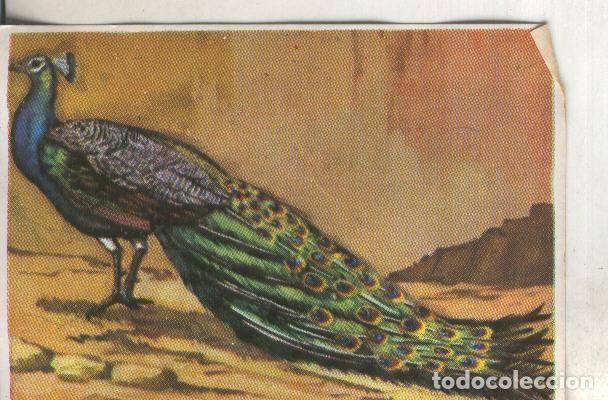 Sports collectibles: Cromos: Historia Natural numero 322 - Varios