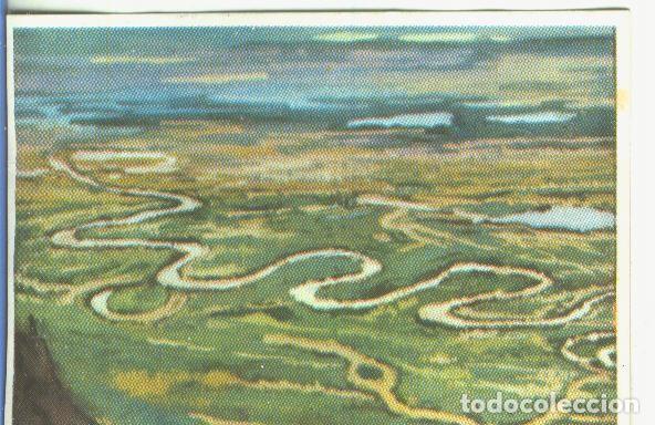 Sports collectibles: Cromos: Historia Natural numero 055 - Varios