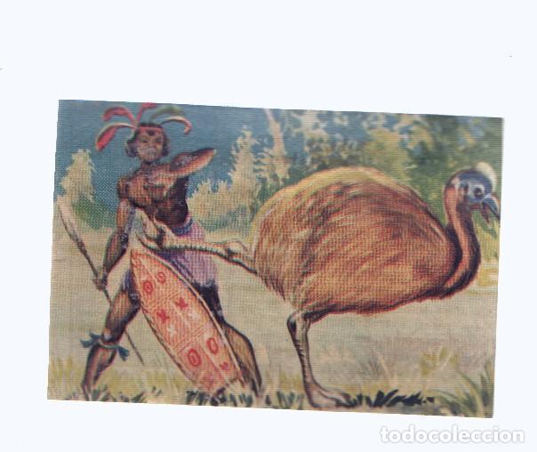 Sports collectibles: Cromos: de la Selva Misteriosa a los abismos del mar: numero 268: Los pies, arma defensiva