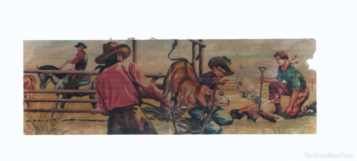 Coleccionismo deportivo: Cromos: de la Selva Misteriosa a los abismos del mar: numero 244-245: Marcado del ganado