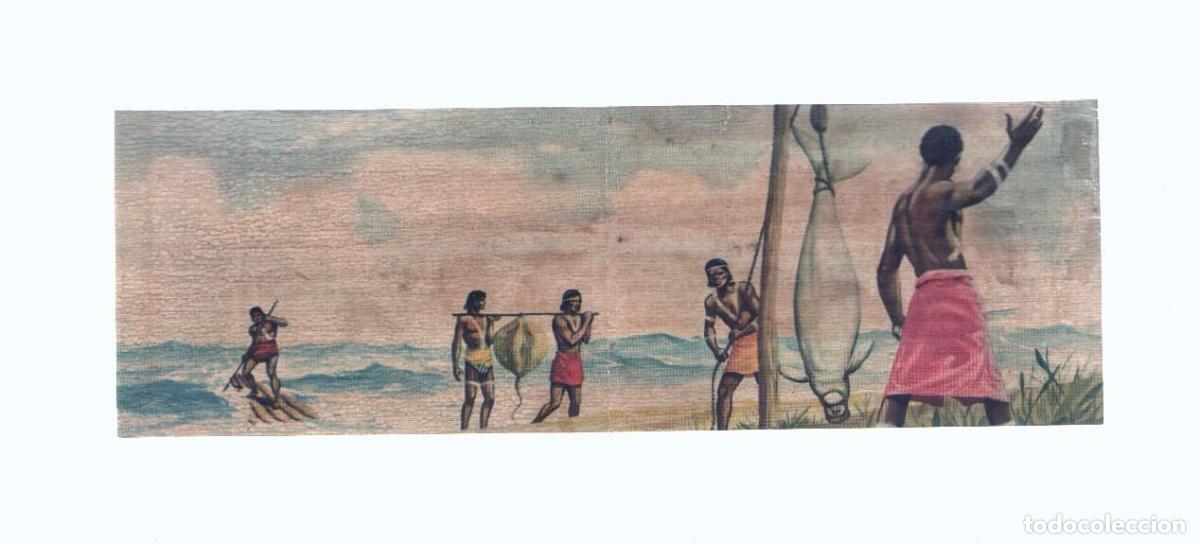 Coleccionismo deportivo: Cromos: de la Selva Misteriosa a los abismos del mar: numero 283-284: Pesca indigena