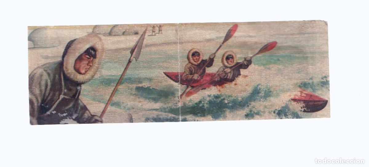 Coleccionismo deportivo: Cromos: de la Selva Misteriosa a los abismos del mar: numero 193-194: Pesca en las heladas latitudes