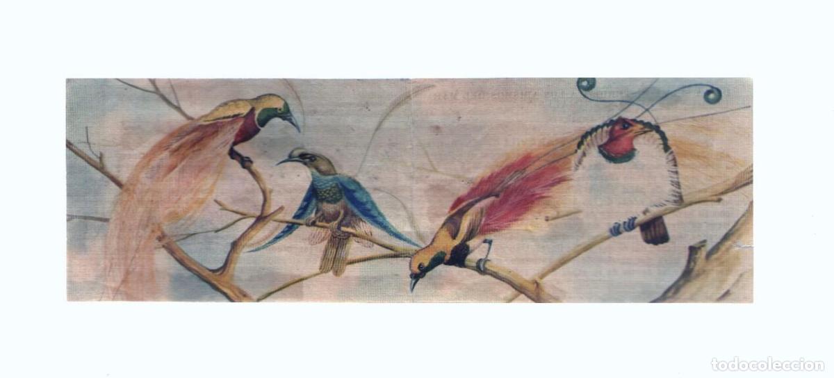 Coleccionismo deportivo: Cromos: de la Selva Misteriosa a los abismos del mar: numero 289-290: Vida, color, maravilla