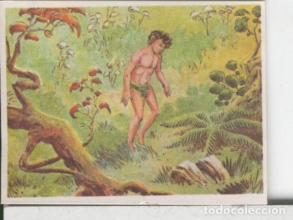 Colecionismo desportivo: Cromos: Aventuras de Jorge, el Peque&ntilde;o Tarzan, autor Gigarpe numero 034 - Varios