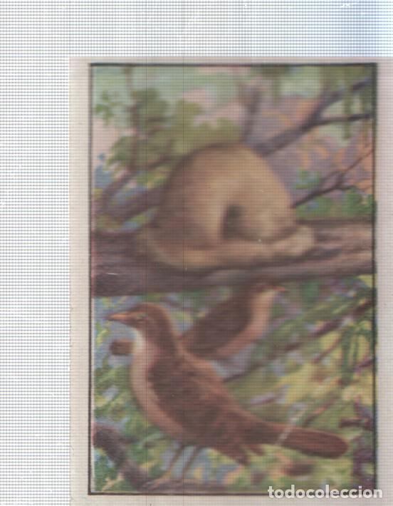 Collezionismo sportivo: Cromo Nestle numerado 004