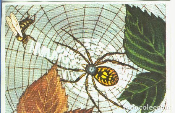 Sammelleidenschaft Sport: Cromos: Historia Natural numero 143 - Varios