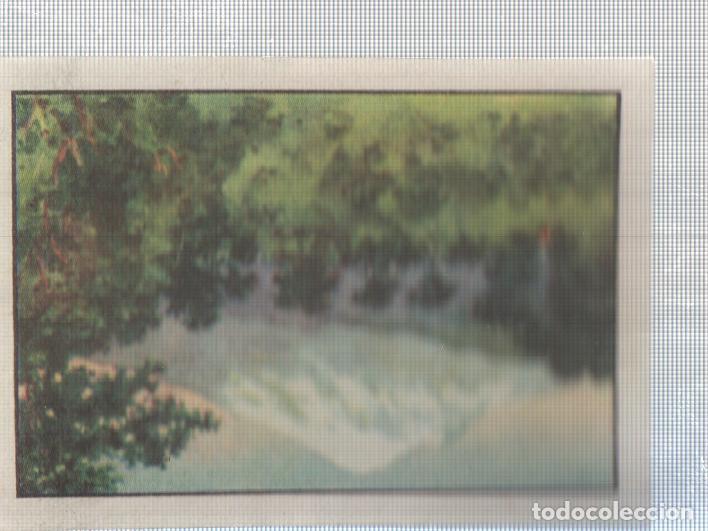 Collezionismo sportivo: Cromo Nestle numerado 197: Naturaleza