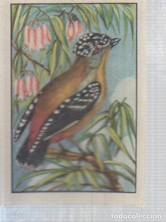 Collezionismo sportivo: Cromo Nestle numerado 212. Ave