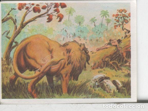 Sammelleidenschaft Sport: Cromos: Aventuras de Jorge, el Peque&ntilde;o Tarzan, autor Gigarpe numero 037 - Varios