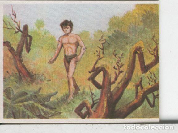 Sports collectibles: Cromos: Aventuras de Jorge, el Peque&ntilde;o Tarzan, autor Gigarpe numero 022 - Varios