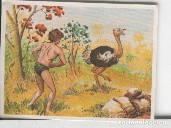 Sammelleidenschaft Sport: Cromos: Aventuras de Jorge, el Peque&ntilde;o Tarzan, autor Gigarpe numero 083 - Varios