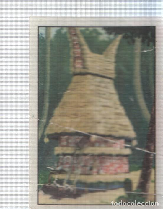 Sports collectibles: Cromo Nestle numerado 008