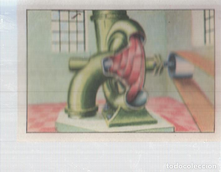 Sports collectibles: Cromo Nestle numerado 013