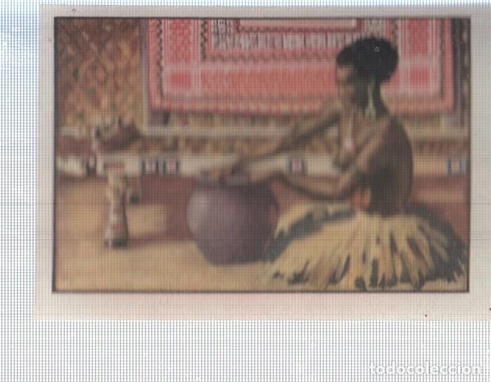 Sports collectibles: Cromo Nestle numerado 023: Indigena