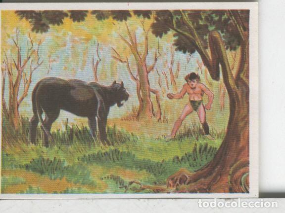 Collectionnisme sportif: Cromos: Aventuras de Jorge, el Peque&ntilde;o Tarzan, autor Gigarpe numero 075 - Varios