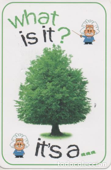 Collectionnisme sportif: Cromo E001689: Cards. What is it?. Tree - NULL