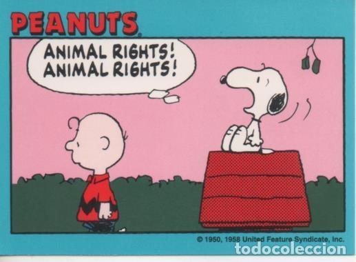 Colecionismo desportivo: Cromo E003404: Trading Card. Penauts Classics, n&ordm; 169 May 23, 1989 - M. Schulz