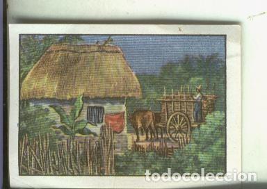 Collezionismo sportivo: Cromo: Curiosidades del Universo serie numero 4 numero 2 - Varios