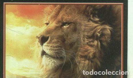 Sammelleidenschaft Sport: Cromos: Narnia numero 118 - Varios