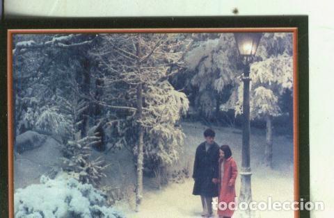 Collectionnisme sportif: Cromos: Narnia numero 039 - Varios