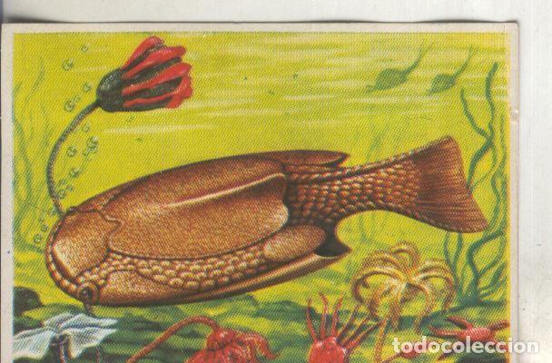 Sammelleidenschaft Sport: Cromos: Historia Natural numero 038 - Varios