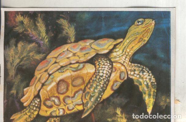 Collectionnisme sportif: Cromos: Historia Natural numero 120 - Varios