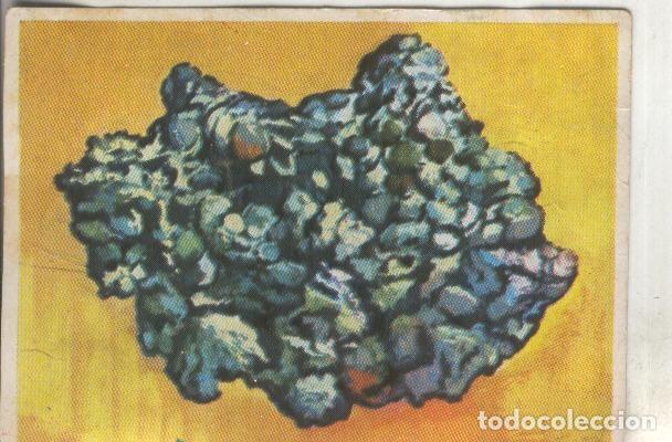 Collectionnisme sportif: Cromos: Historia Natural numero 030 - Varios