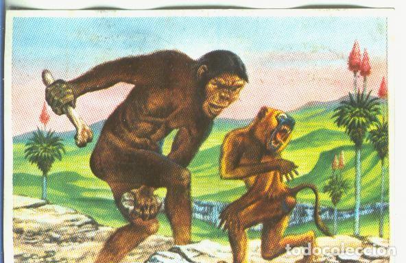 Collectionnisme sportif: Cromos: Historia Natural numero 126 - Varios