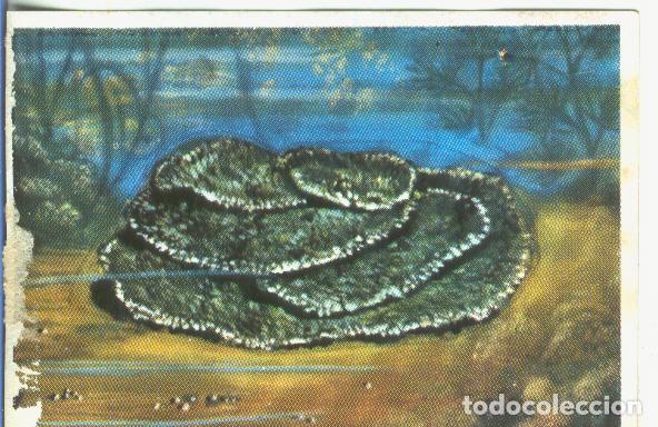 Sports collectibles: Cromos: Historia Natural numero 148 - Varios