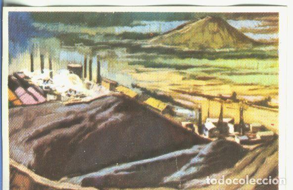 Sports collectibles: Cromos: Historia Natural numero 057 - Varios