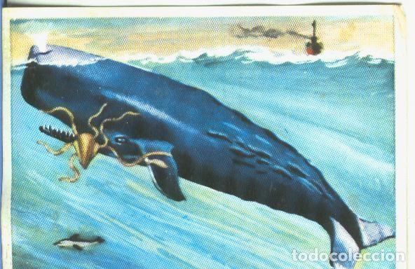 Sports collectibles: Cromos: Historia Natural numero 157 - Varios