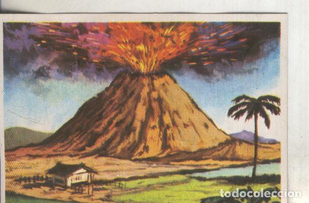 Sports collectibles: Cromos: Historia Natural numero 067 - Varios