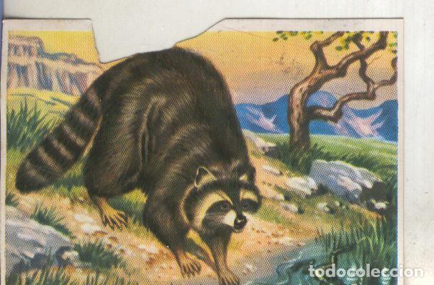 Sports collectibles: Cromos: Historia Natural numero 191 - Varios