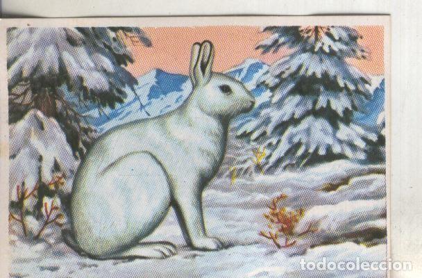 Sammelleidenschaft Sport: Cromos: Historia Natural numero 179 - Varios