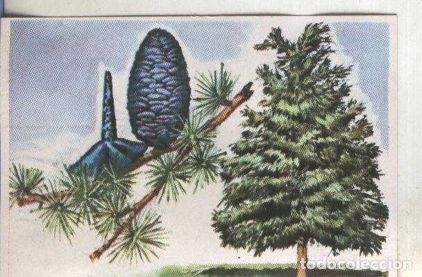 Sammelleidenschaft Sport: Cromos: Historia Natural numero 391 - Varios