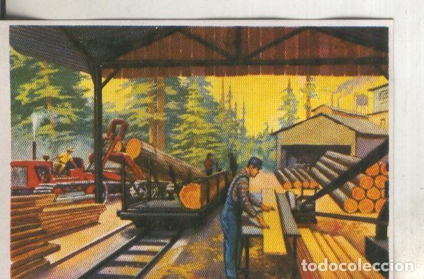 Coleccionismo deportivo: Cromos: Historia Natural numero 413 - Varios