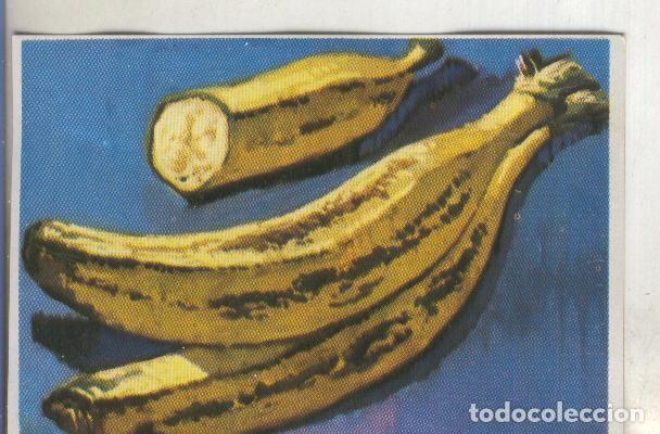 Coleccionismo deportivo: Cromos: Historia Natural numero 420 - Varios