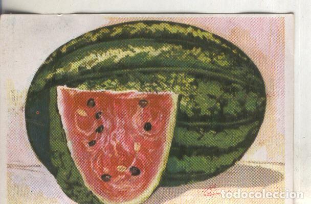 Coleccionismo deportivo: Cromos: Historia Natural numero 425 - Varios