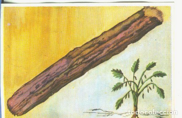 Coleccionismo deportivo: Cromos: Historia Natural numero 460 - Varios