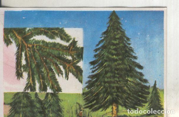 Sammelleidenschaft Sport: Cromos: Historia Natural numero 388 - Varios