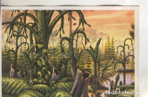 Coleccionismo deportivo: Cromos: Historia Natural numero 412 - Varios