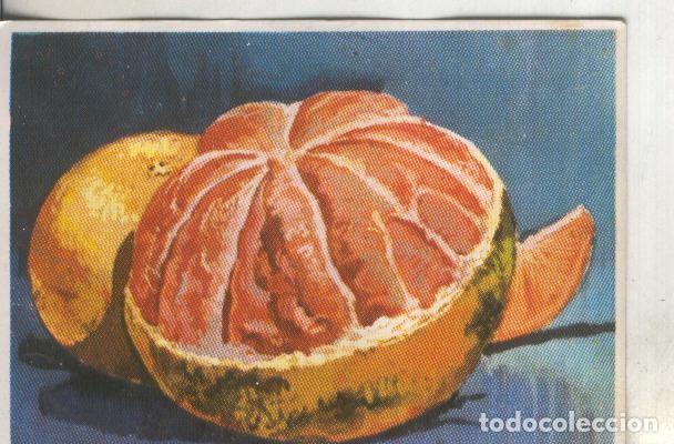 Sammelleidenschaft Sport: Cromos: Historia Natural numero 424 - Varios