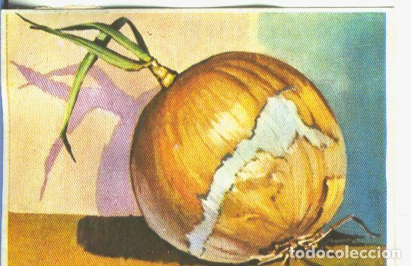 Colecionismo desportivo: Cromos: Historia Natural numero 459 - Varios