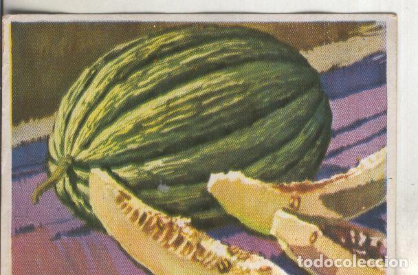 Collezionismo sportivo: Cromos: Historia Natural numero 469 - Varios