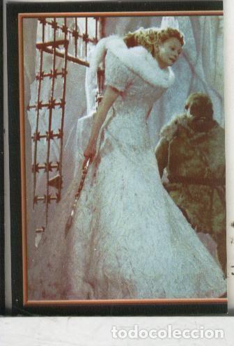 Colecionismo desportivo: Cromos: Narnia numero 066 - Varios