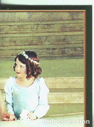 Sports collectibles: Cromos: Narnia numero 142 - Varios